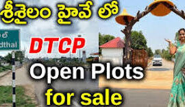 Kadthal Plots, Kadthal Land Rates, Kadthal Land Rate, Kadthalplotsforsale, Kadthal Srisailam Highway, Open Plots In Kadthal, Dtcp Approved Layouts In Kadthal, Plots For Sale In Kadthal, Land Rates In Kadthal, Kadthal Open Plots, Kadthal Ventures, Kadthal Land Prices, Srisailam Highway Kadthal Telangana, Land For Sale In Kadthal, Land For Sale In Kadthal, Plots Near Kadthal, Open Plots For Sale In Kadthal, Open Plots Near Kadthal, Open Plots In Kadthal, Plots For Sale In Kadthal, Open Plots For Sale In Kadthal, Open Plots Near Kadthal, Kadthal Open Plots,